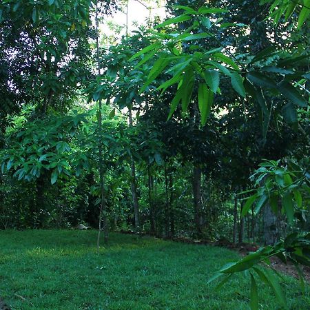 Abberny Villa Midigama East Esterno foto