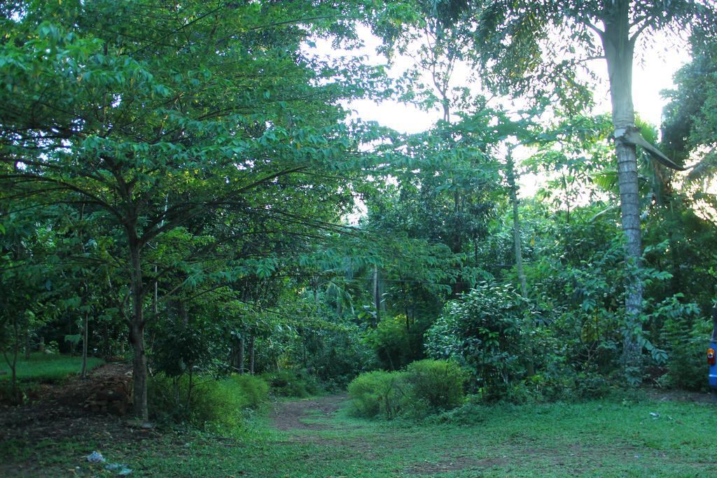 Abberny Villa Midigama East Camera foto