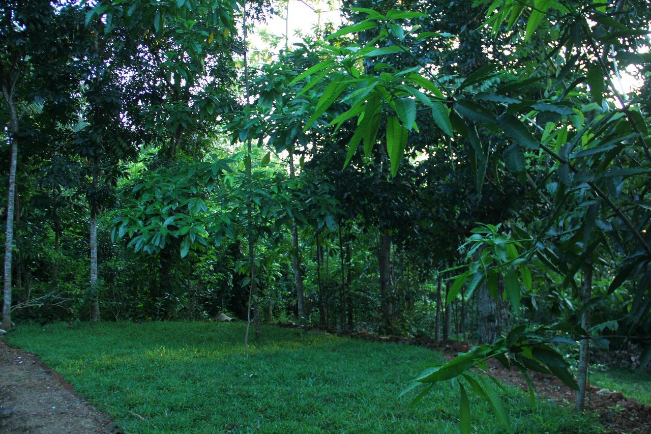 Abberny Villa Midigama East Esterno foto
